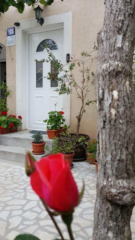 Hibiscus Guest House Budva Exterior foto